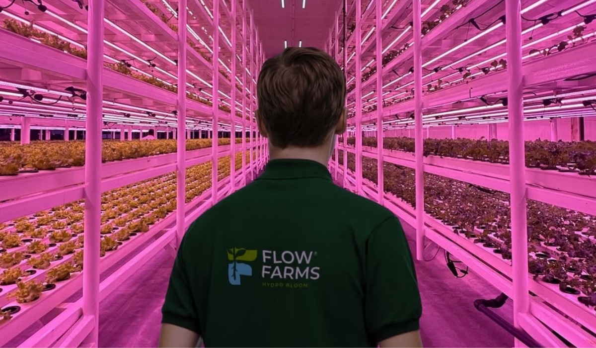 Flow Farms: Advancing Sustainable Hydroponic Agriculture in Qatar